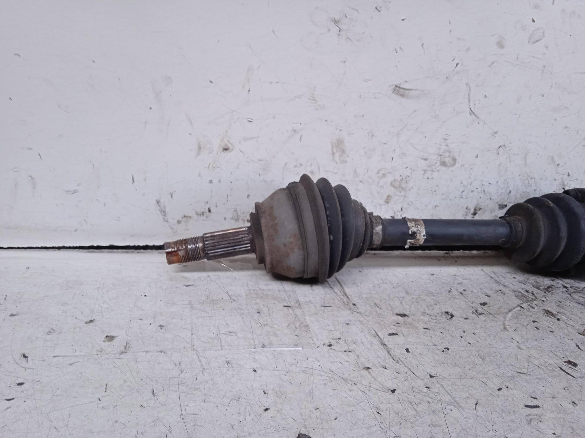 Semialbero ant. compl. dx.